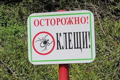 Осторожно клещи
