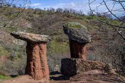 Крымские каменные грибы Крымские каменные грибы