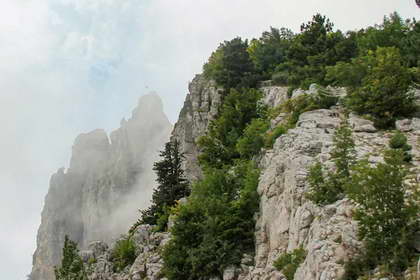 Природа Крыма Природа Крыма