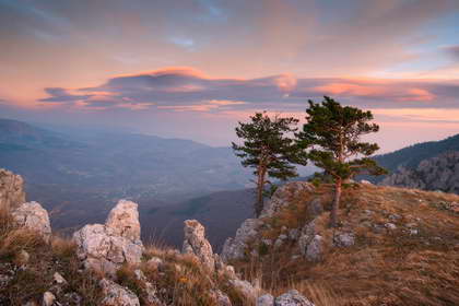 Ялтинский горно-лесной заповедник