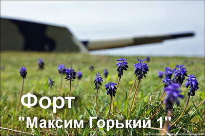 Форт "Максим Горький 1"